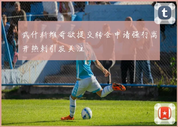 武什科维奇欲提交转会申请强行离开热刺引发关注
