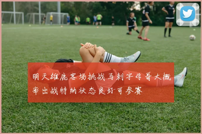明天雄鹿客场挑战马刺字母哥大概率出战特纳状态良好可参赛