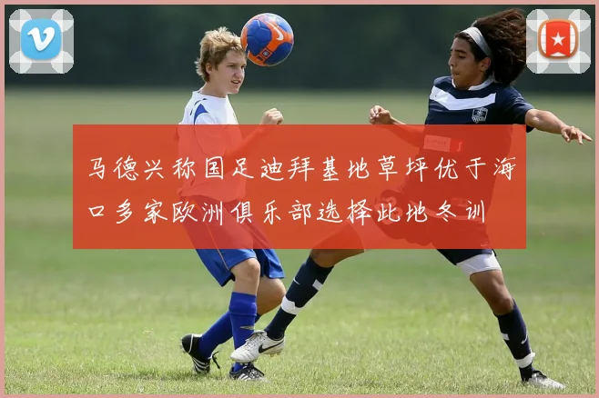 马德兴称国足迪拜基地草坪优于海口多家欧洲俱乐部选择此地冬训