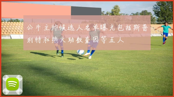 公牛主帅候选人名单曝光包括斯普利特和热火助教奎因等五人