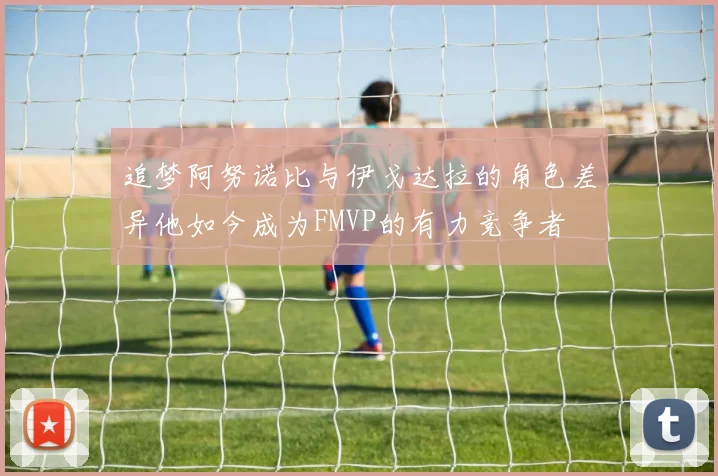 追梦阿努诺比与伊戈达拉的角色差异他如今成为FMVP的有力竞争者
